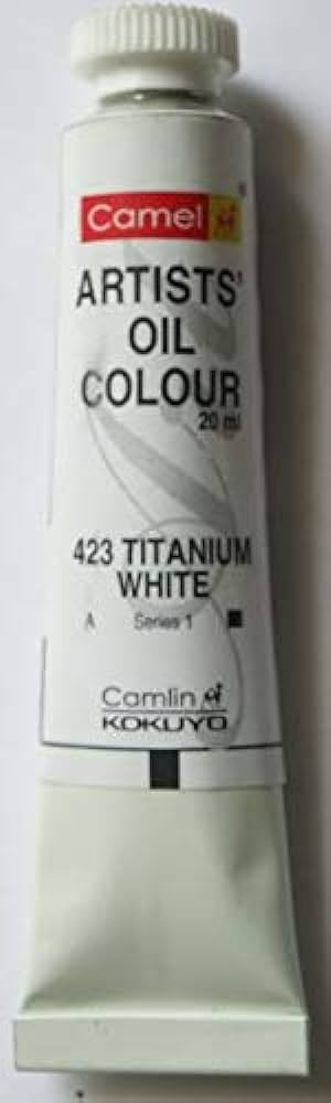 CAMLIN ARTIST OIL COLOUR 20 ML SR 1 TITANIUM WHITE (111423)