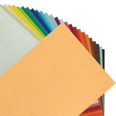 FABRIANO ELLE ERRE PACK OF 9-AVANA  220 GSM A4 (FEL4 V 03)