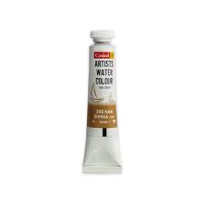 CAMLIN ARTIST OIL COLOUR 20 ML SR 1 RAW SIENNA (111366)