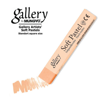 MUNGYO SOFT PASTEL MEDIUM FLESH