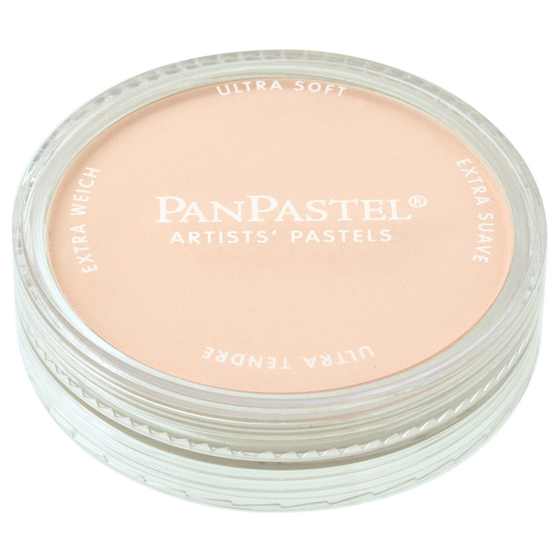PANPASTEL ULTRA SOFT COLOUR BURNT SIENNA TINT