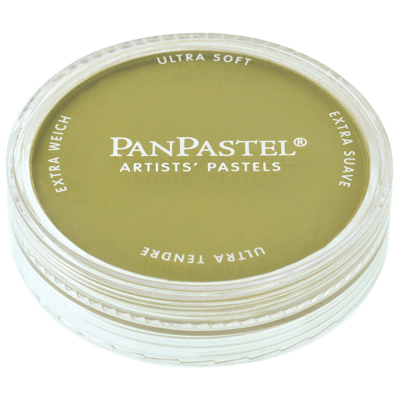 PANPASTEL ULTRA SOFT COLOUR BRIGHT YELLOW GREEN SHADE