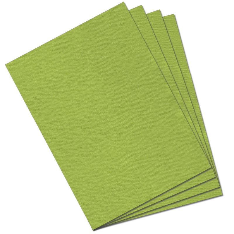 CANSON MI-TEINTES PASTEL PAPER 475 APPLE GREEN 160 GSM 50 x 65 CM