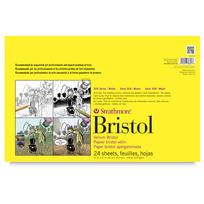 STRATHMORE SEQUENTIAL BRISTOL BOARD VELLUM 24 SHEETS SR 300 270 GSM 27.9 x 43.2 CM (P342-117-1)