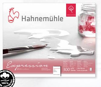 HAHNEMUHLE EXPRESSION WATER COLOUR PAD 300 GSM 100% COTTON COLD PRESSED 50 X 65CM 20 SHEETS (10627666)